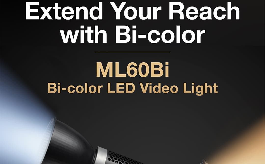 Godox ML60Bi Bi-Color LED Monolight