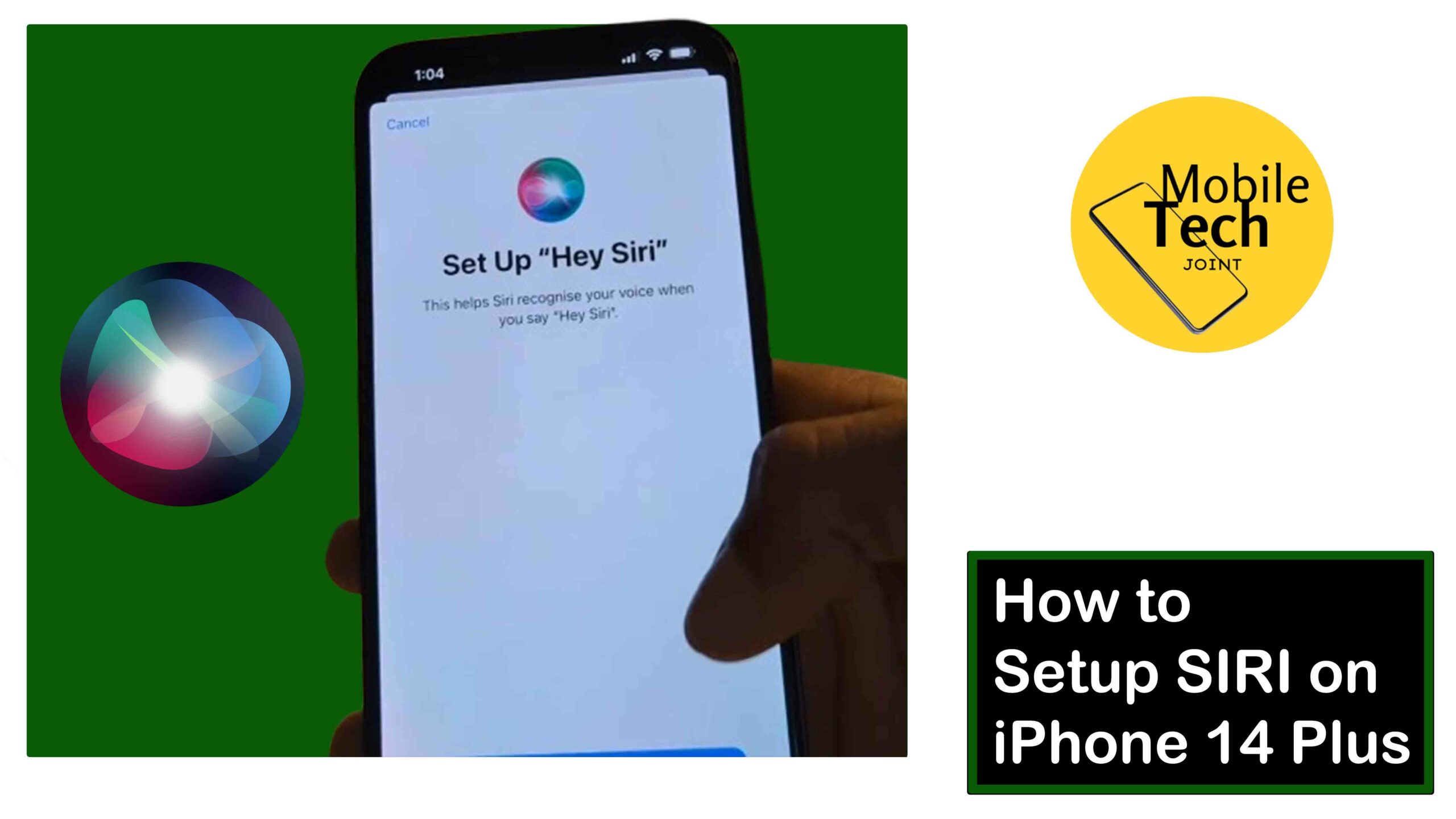 Setup SIRI