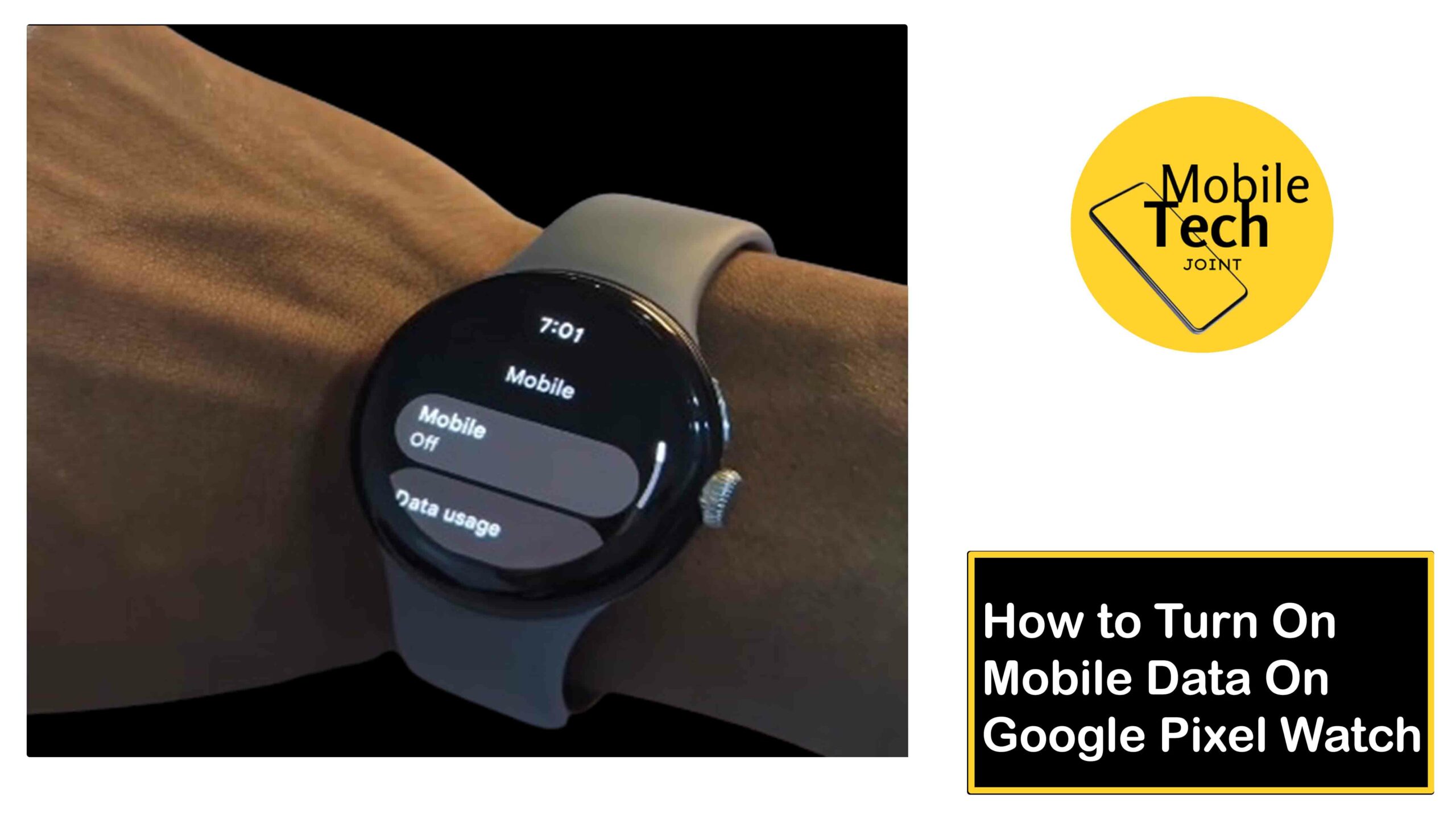 How to Turn On Mobile Data on Google Pixel Watch