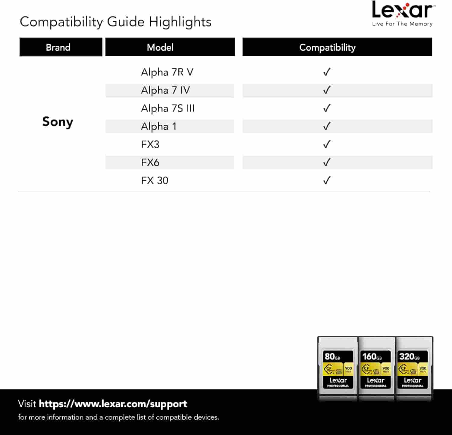 Lexar 320GB CFexpress Type A Nigeria memory card set up for high-speed video recording in Lagos